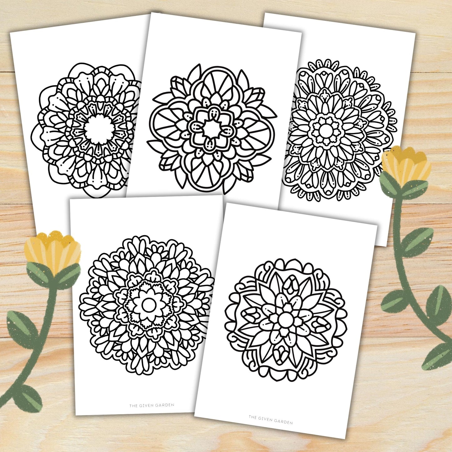 Bold Mandala 1: 30 Printable Colouring Pages