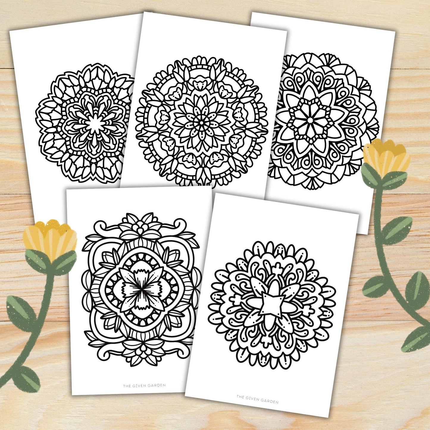 Bold Mandala 1: 30 Printable Colouring Pages