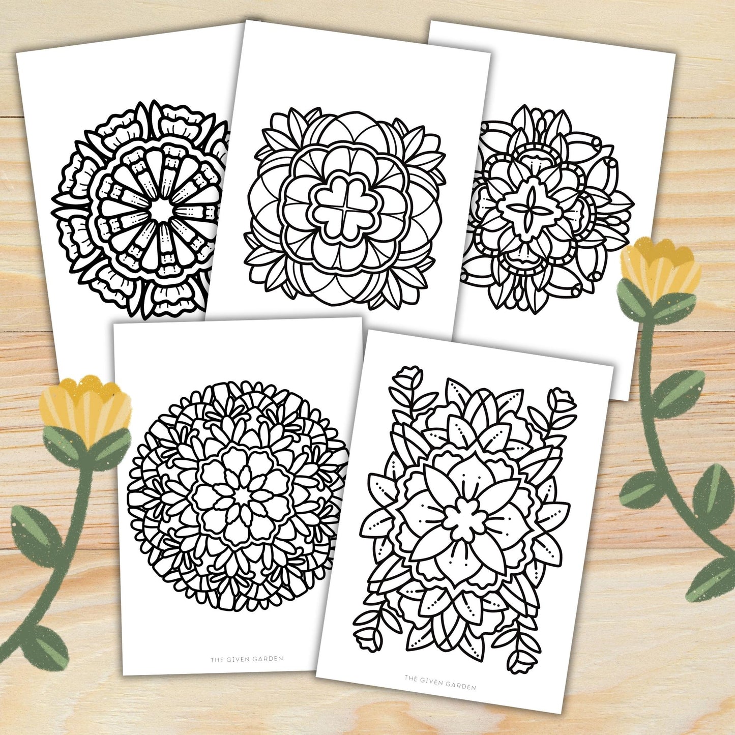 Bold Mandala 1: 30 Printable Colouring Pages