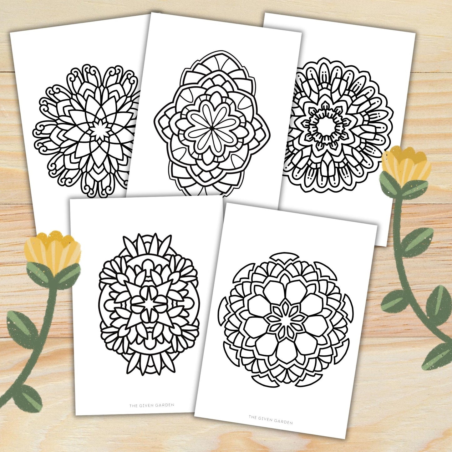 Bold Mandala 1: 30 Printable Colouring Pages