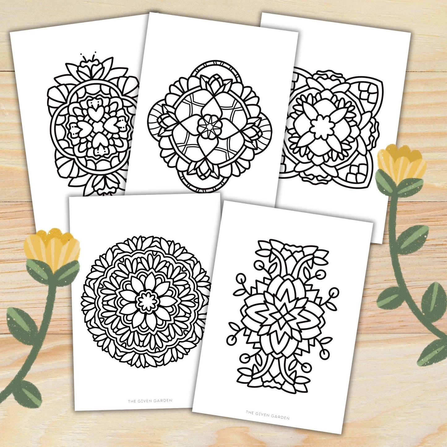 Bold Mandala 1: 30 Printable Colouring Pages